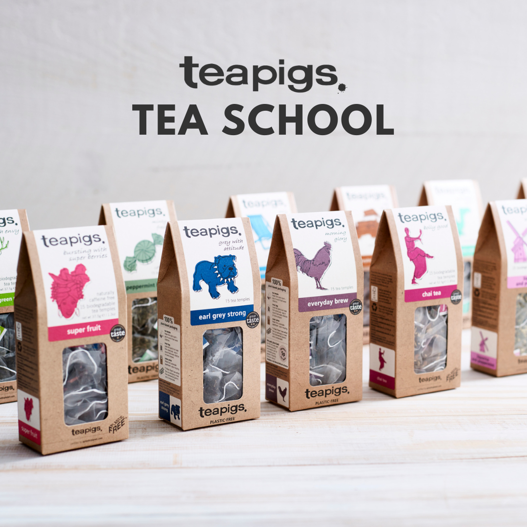 teapigs tea school